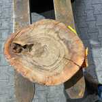 Rosewood Schijf, Dikte 70mm, Ø 450mm